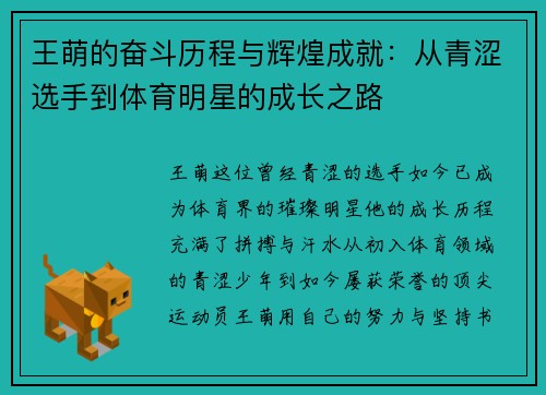 王萌的奋斗历程与辉煌成就：从青涩选手到体育明星的成长之路